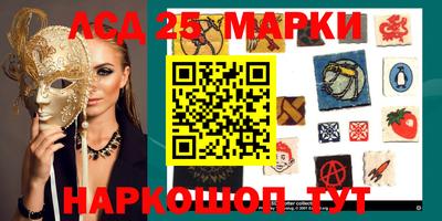 spice Кингисепп