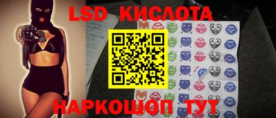 spice Кингисепп
