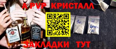 spice Кингисепп