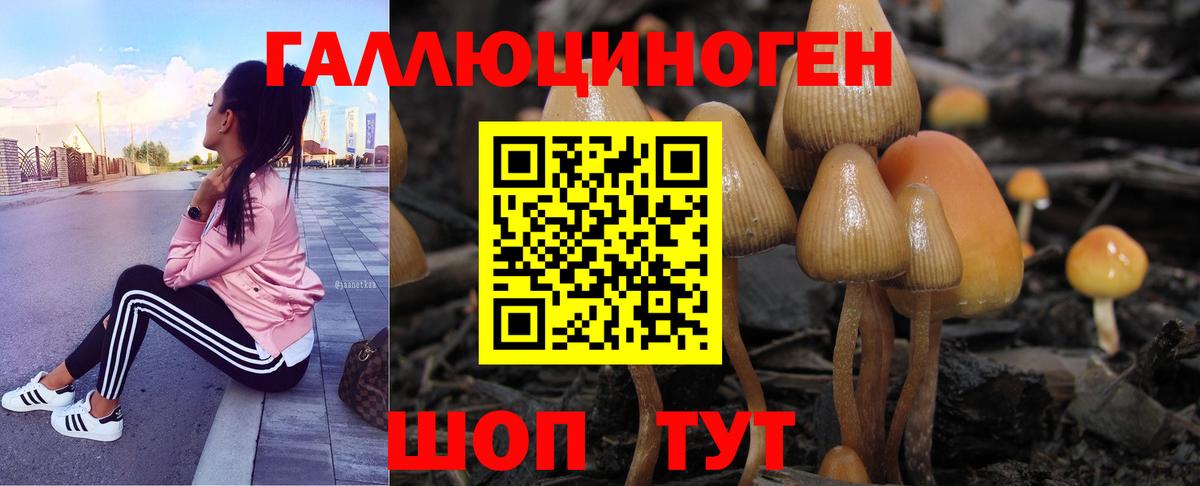 Кумертау  Галлюциногенные грибы ЛСД  Галлюциногенные грибы прущие грибы  Вход с VPN 